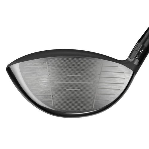 Paradym Triple Diamond Driver