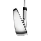 Paradym Irons