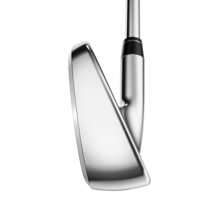 Paradym Irons